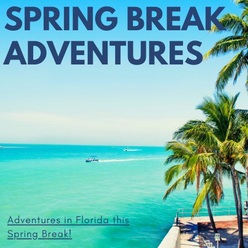 local fun in florida for spring break adventures