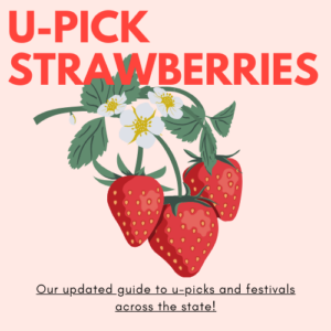 https://www.munchkinfun.com/blog/visit-these-u-pick-strawberry-farms-in-florida