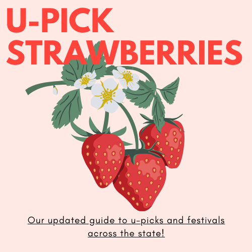 Upick Strawberries