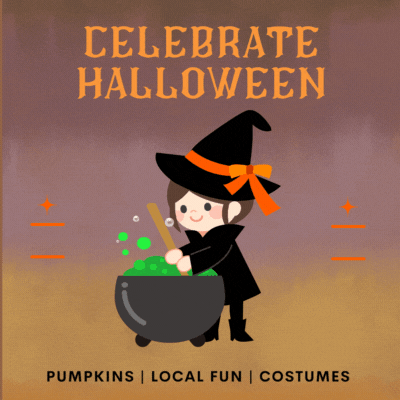 pumpkins, local fun and costumes for kids in tampa bay area