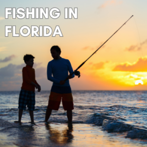 https://www.munchkinfun.com/blog/fishing-in-florida-fun-for-families