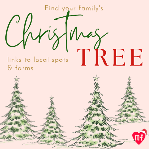 christmas trees farms in florida where you can pick a tree