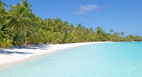 Beautiful Beach Scene with Florida Adventures