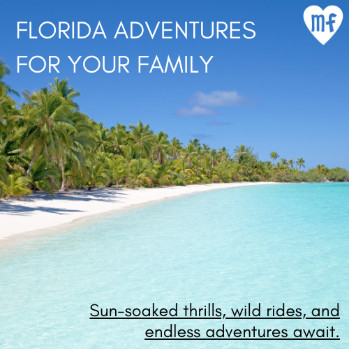 Beautiful Beach Scene with Florida Adventures