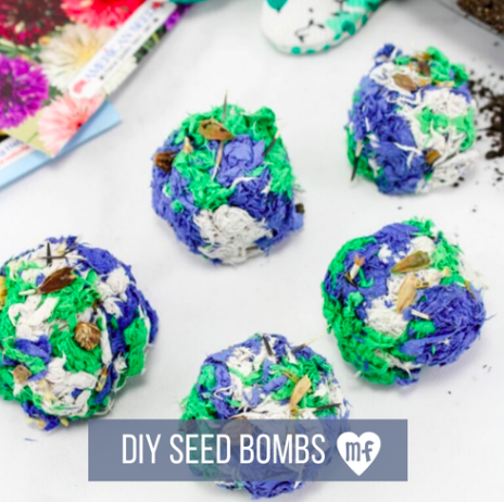 DIY seed bombs