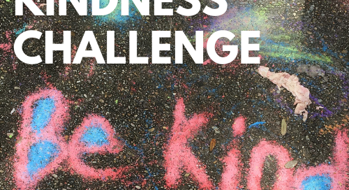 celebrate kindness with your family perform community service