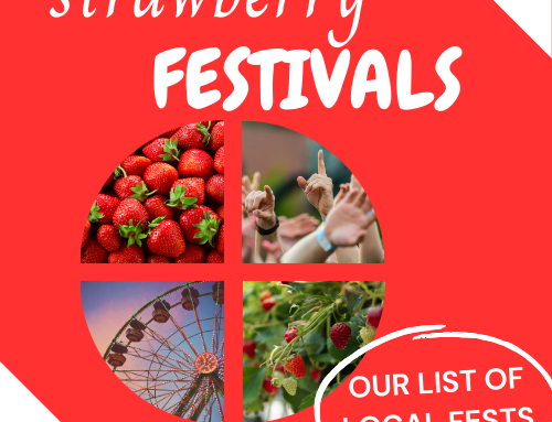 Florida Strawberry Festivals
