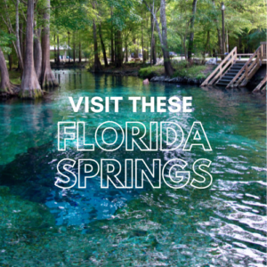 Swim in Florida's natural springs fun for kids