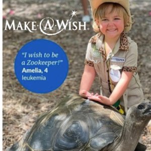 little girl with large tortoise in zookeeper uniform